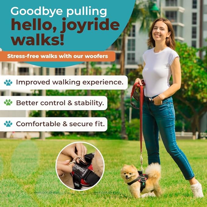 Joyride Harness 2.0 3 Leash