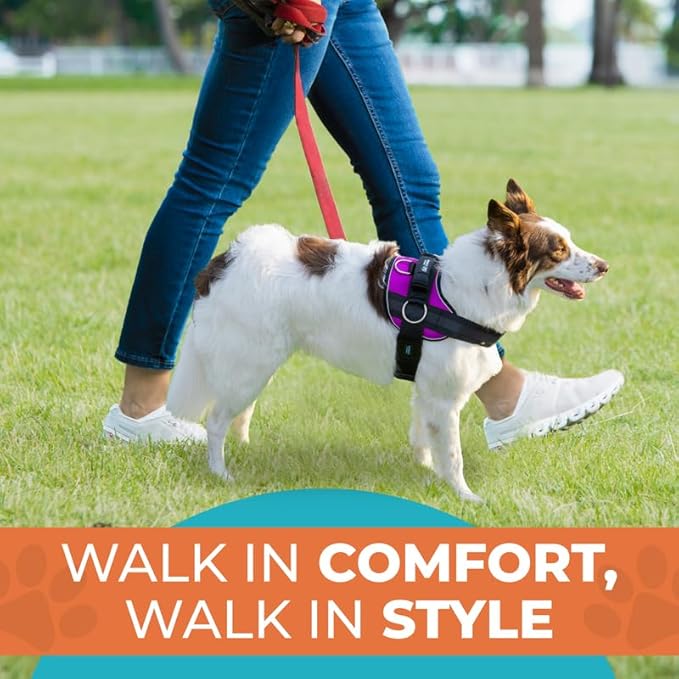 Joyride Harness 2.0 3 Leash