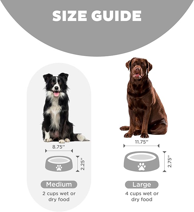 Outward Hound Fun Feeder Slo Bowl