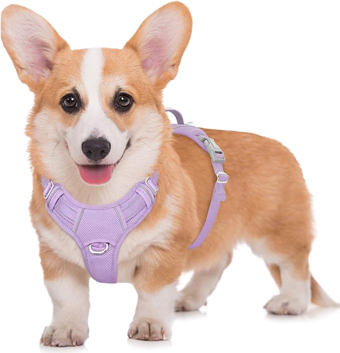 BARKBAY No Pull Dog Harness Large Step in Reflective Dog Harness with Front Clip and Easy Control Handle for Walking Training Running with ID tag Pocket(Violet Purple