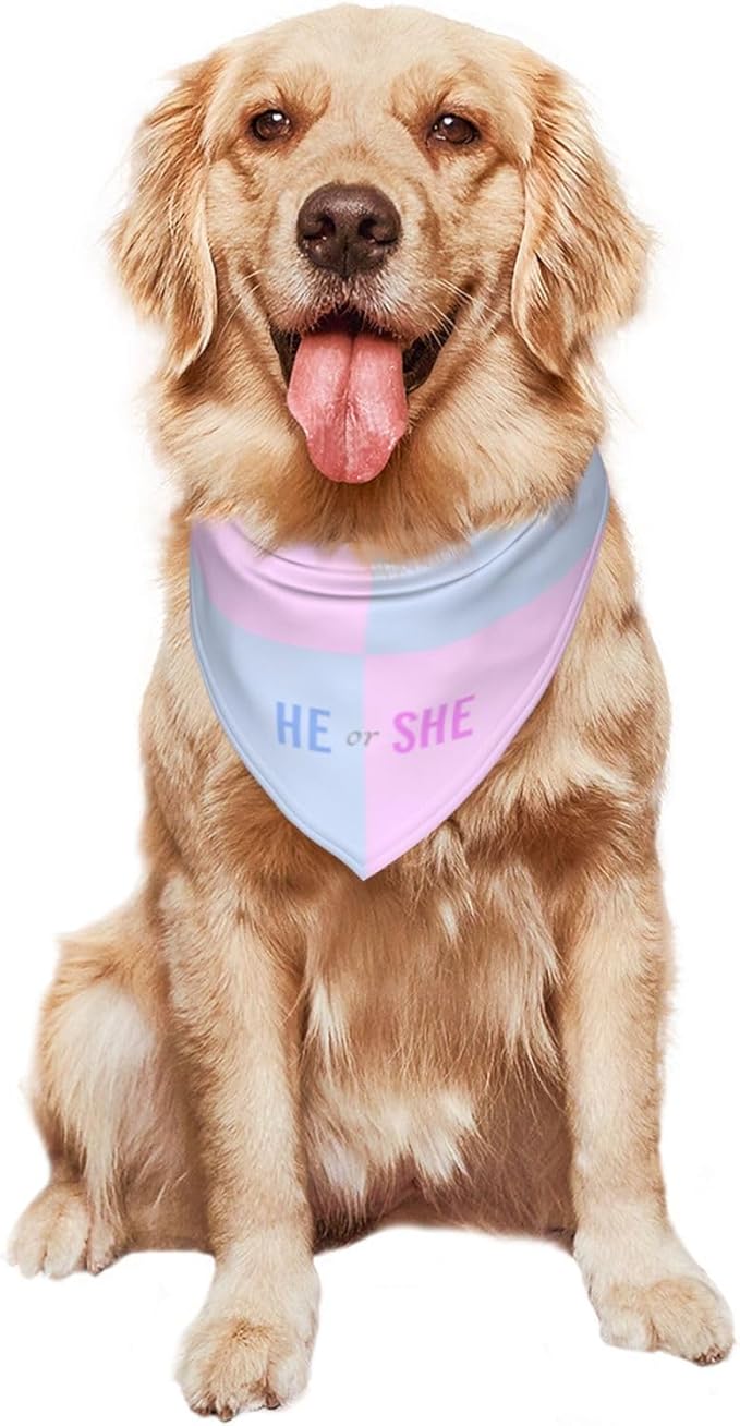 He Or She What Will It Be? Gender Reveal/Baby Announcement Dog Bandana,Pet Neckerchief for Pets Daily Wear Photo Prop Party Supplies (Pink Blue Grid)