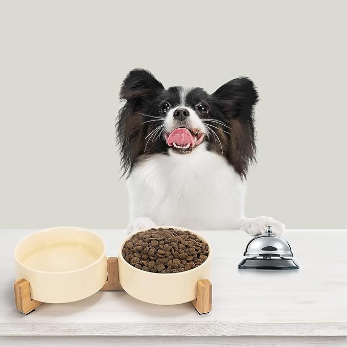 SPUNKYJUNKY Ceramic Dog and Cat Bowl Set with Wooden Stand (13.5OZ) & (28.7OZ) & (1.7 Cups, 2 ×