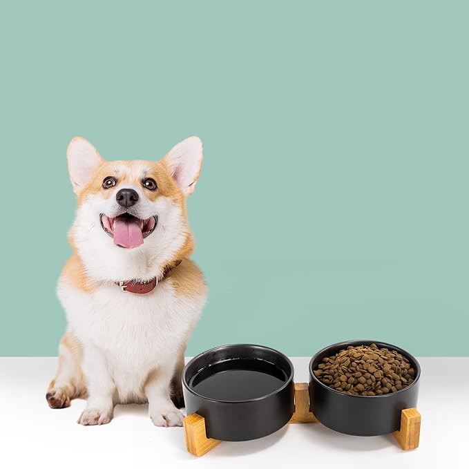 SPUNKYJUNKY Ceramic Dog and Cat Bowl Set with Wooden Stand (13.5OZ) & (28.7OZ) & (3.6 Cups, 2 ×