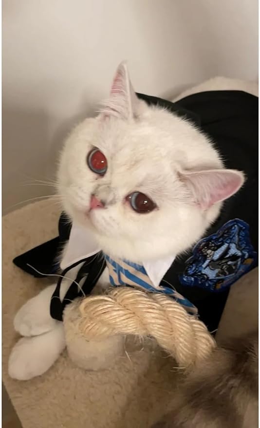 Cat Costumes 3 Piece Set with Glasses and Neckties