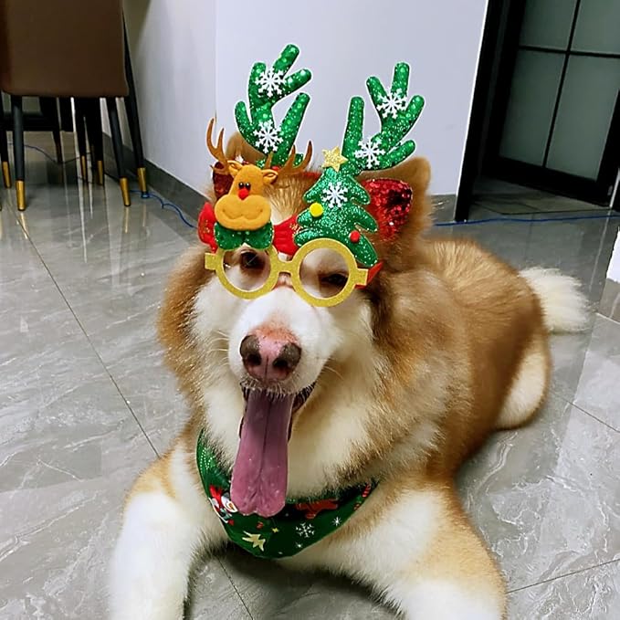 Christmas Costume for Pet Merry Christmas Bandanna Christmas