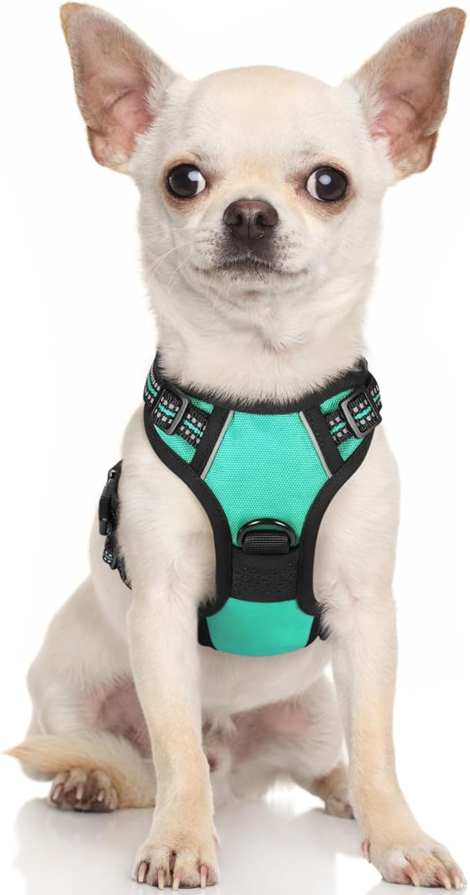 rabbitgoo Dog Harness 2 Leash