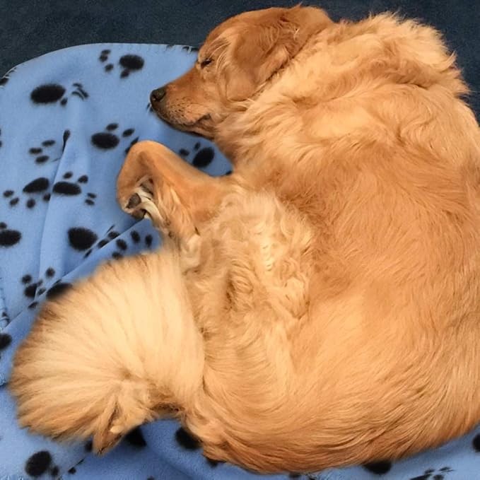 Comsmart Warm Paw Print Blanket/Bed Cover for Dogs