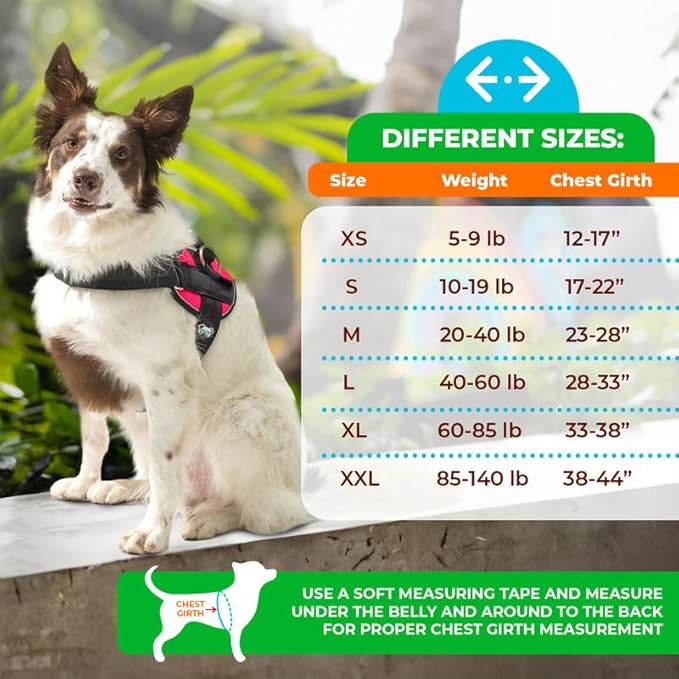 Joyride Harness 2.0 3 Leash