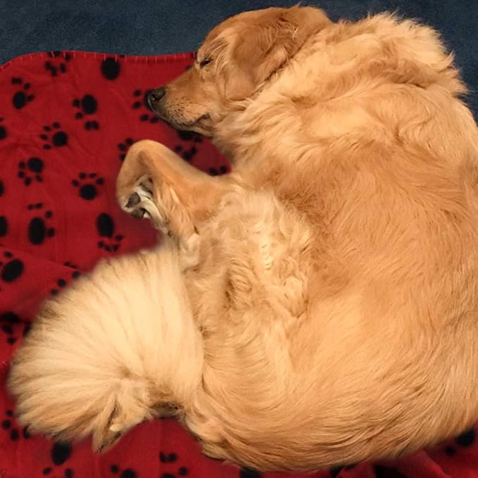 Comsmart Warm Paw Print Blanket/Bed Cover for Dogs