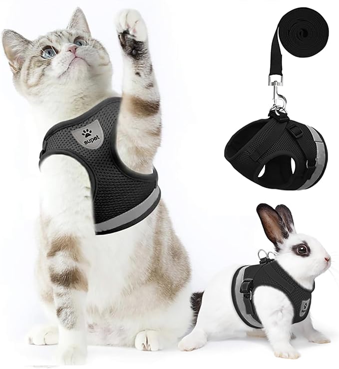 Supet Cat Harness and Leash Set for Walking