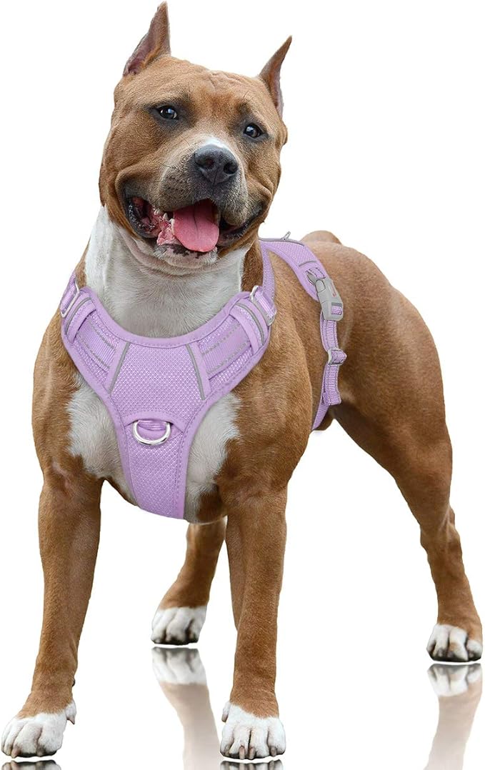 BARKBAY No Pull Dog Harness Large Step in Reflective Dog Harness with Front Clip and Easy Control Handle for Walking Training Running with ID tag Pocket(Violet Purple