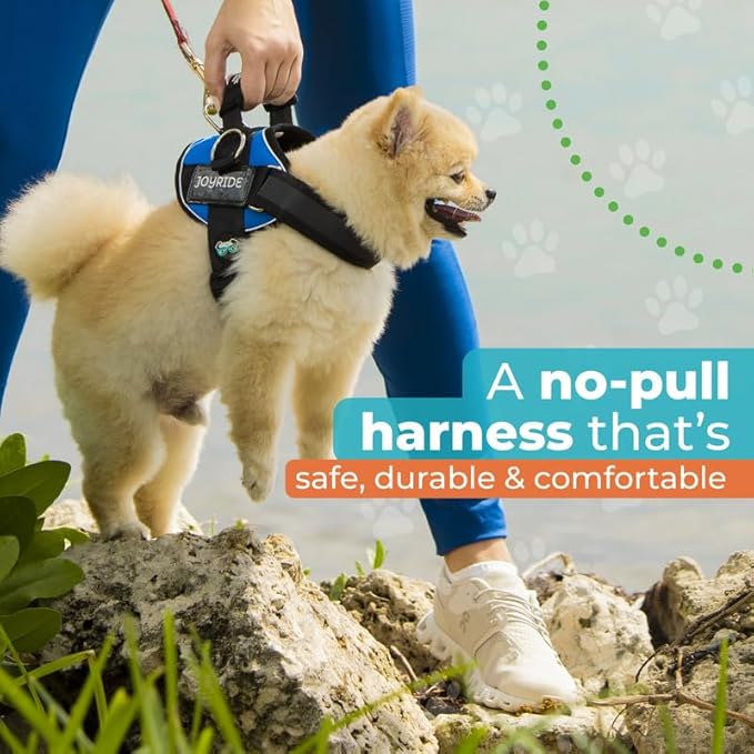 Joyride Harness 2.0 3 Leash