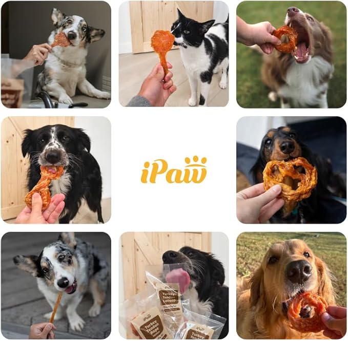 Turkey Tendon for Dogs 4 Units/Pack