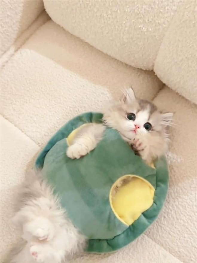 Cute Cat Costumes Turtle Shell Kawaii Kitten Clothes Dog Puppy Vest Pet Apparel (Small