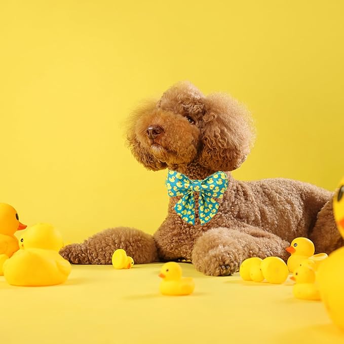 Maca Bates Duck Dog Collar with Bow Bowtie