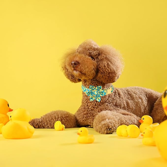 Maca Bates Flower Green Duck Dog Collar