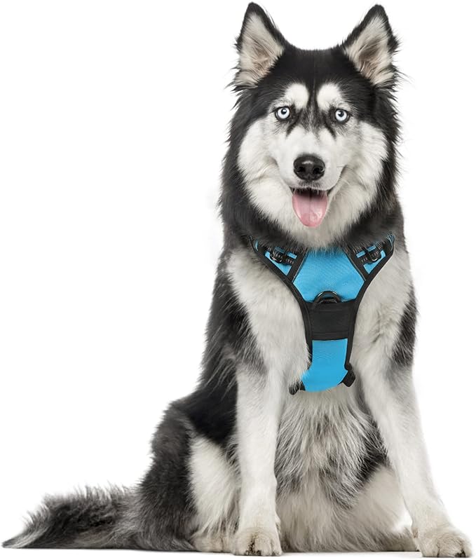 rabbitgoo Dog Harness 2 Leash