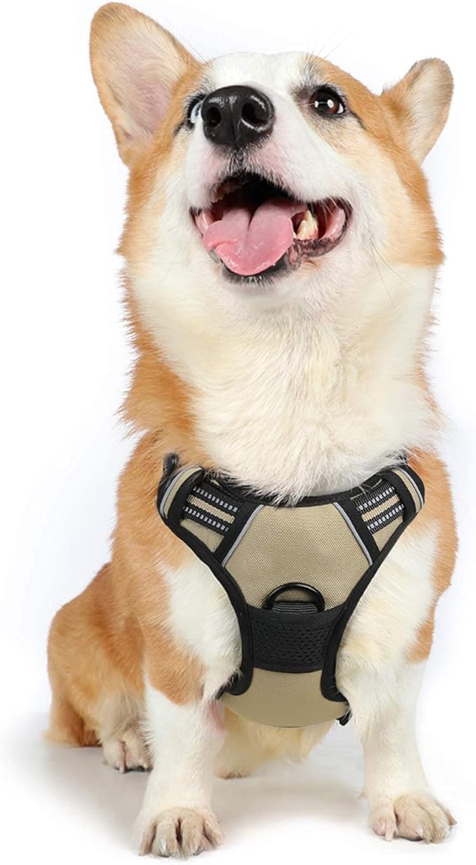 rabbitgoo Dog Harness 2 Leash