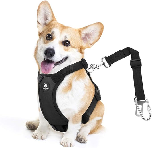 Dog Vehicle Safety Vest Harness