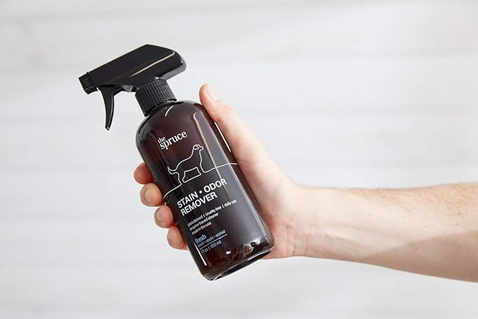 The Spruce Pet Stain & Odor Remover 17 oz