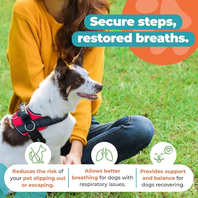 Joyride Harness 2.0 3 Leash