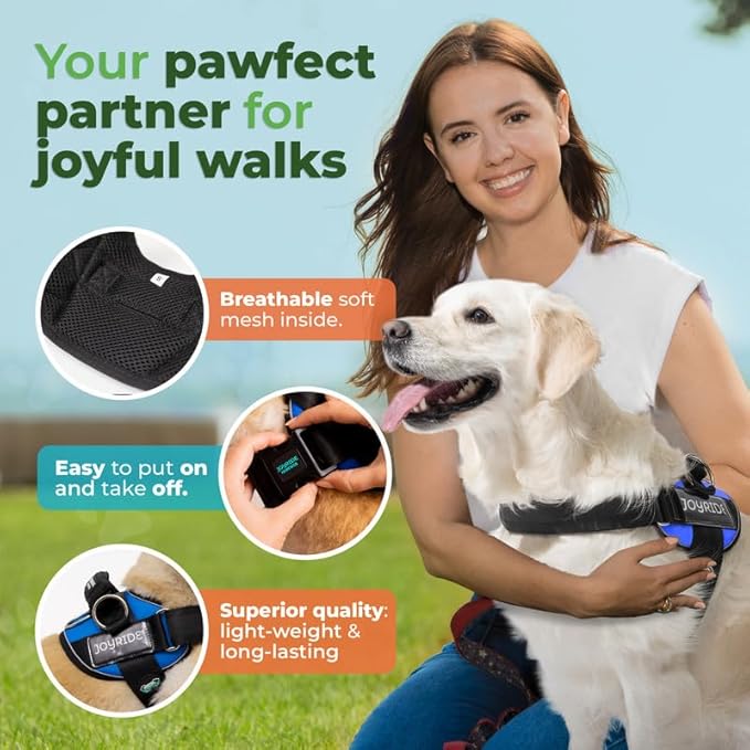 Joyride Harness 2.0 3 Leash