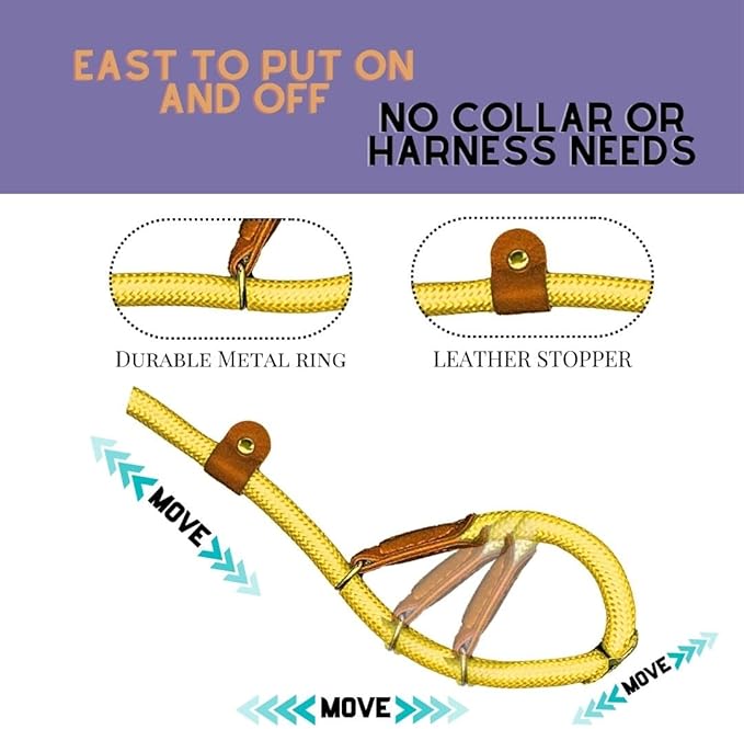 Slip Leads for Dogs (5 Foot 1/2")