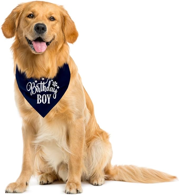 Birthday Dog Bandana 1st Birthday (A18)