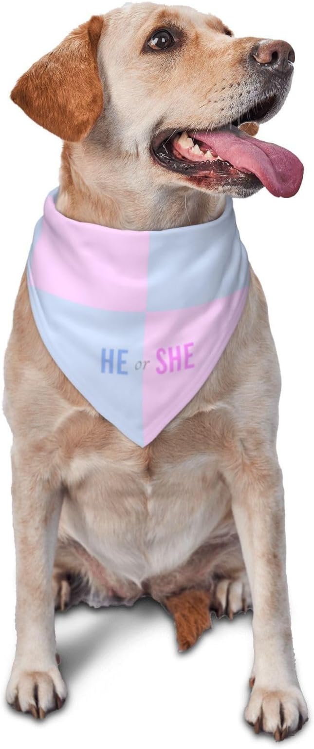 He Or She What Will It Be? Gender Reveal/Baby Announcement Dog Bandana,Pet Neckerchief for Pets Daily Wear Photo Prop Party Supplies (Pink Blue Grid)
