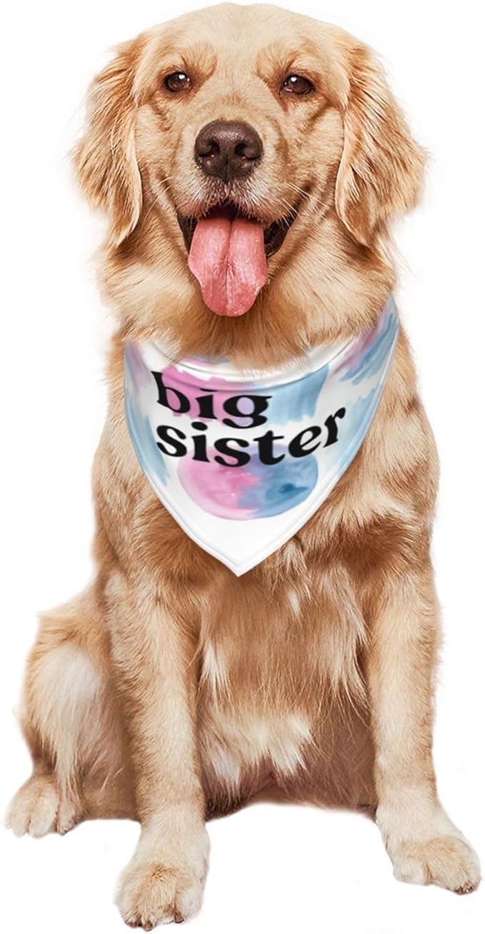 Big Sister Dog Bandana,Baby Announcement Dog Bandana,Gender Reveal,Pet Scarf, Pet Accessories for Photo Props Accessories (Color block)