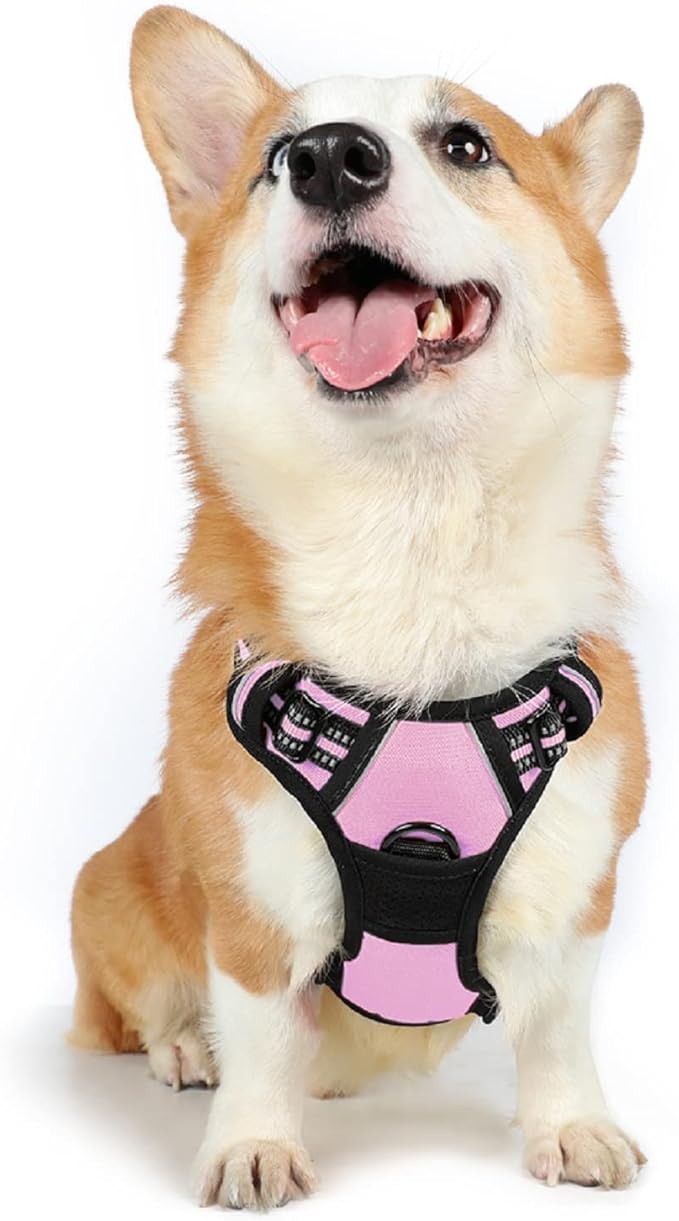 rabbitgoo Dog Harness 2 Leash