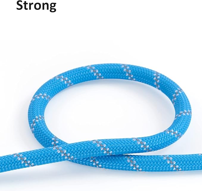 100FT Extra Long Leashes for Dog Training