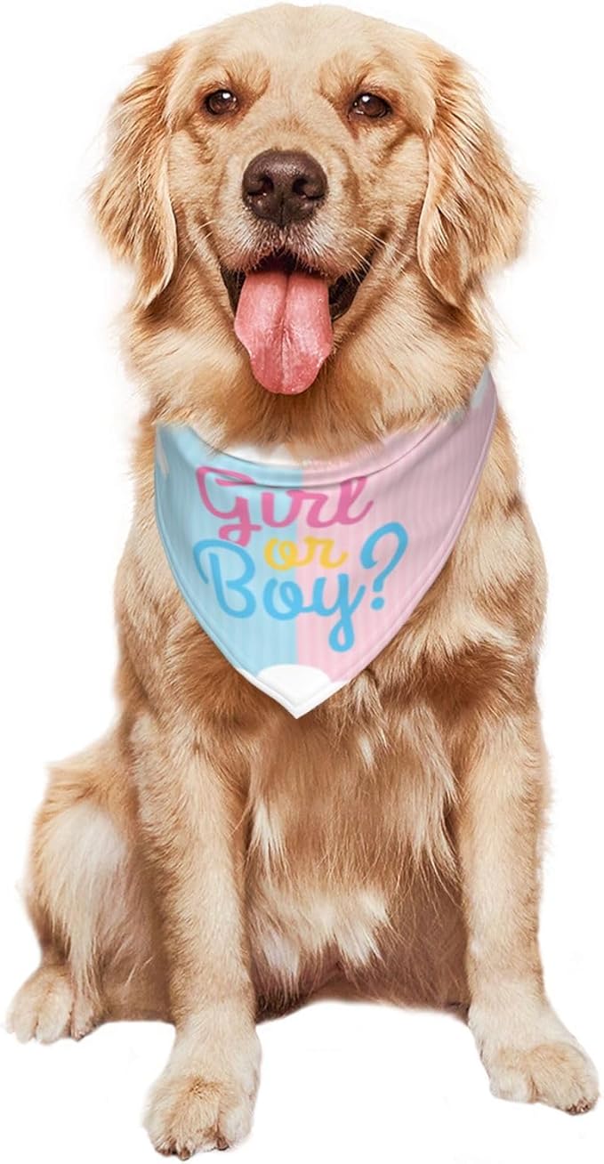 He Or She What Will It Be? Gender Reveal/Baby Announcement Dog Bandana,Pet Neckerchief for Pets Daily Wear Photo Prop Party Supplies (boy or Girl Clouds)