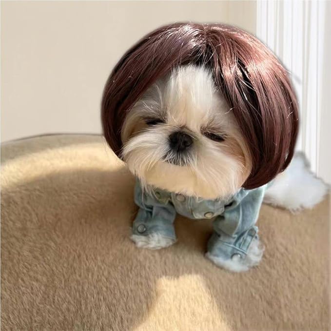KSYVUCRD Funny Dog Wig with Free Grooming Comb for Small Medium Large Dogs