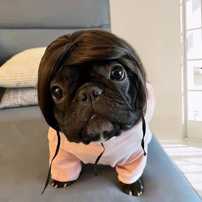KSYVUCRD Funny Dog Wig with Free Grooming Comb for Small Medium Large Dogs