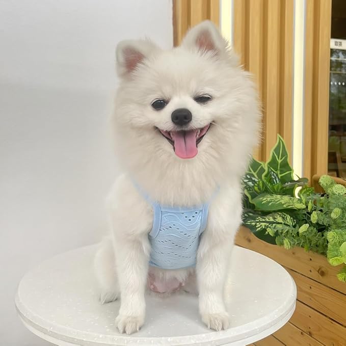 Yanmucy 2 Pieces Dog Summer Clothes Cute Embroidery Dog Striped Tank Top Vest Breathable Puppy Sleeveless Shirt for Small Dogs Cats (Pink+Blue, Small)