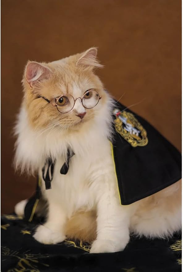 Cat Costumes 3 Piece Set with Glasses and Neckties