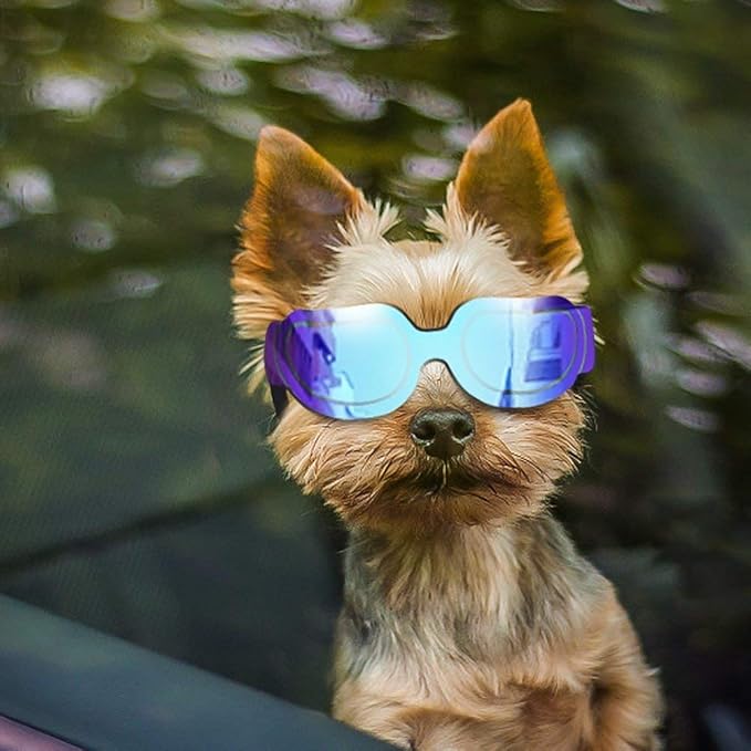 ENJOYING Dog Sunglasses Small Dog Goggles Anti-UV Doggy Glasses for Small Dogs Big Cats Impact/Wind/Dust/Fog Proof Puppy Eye Protection