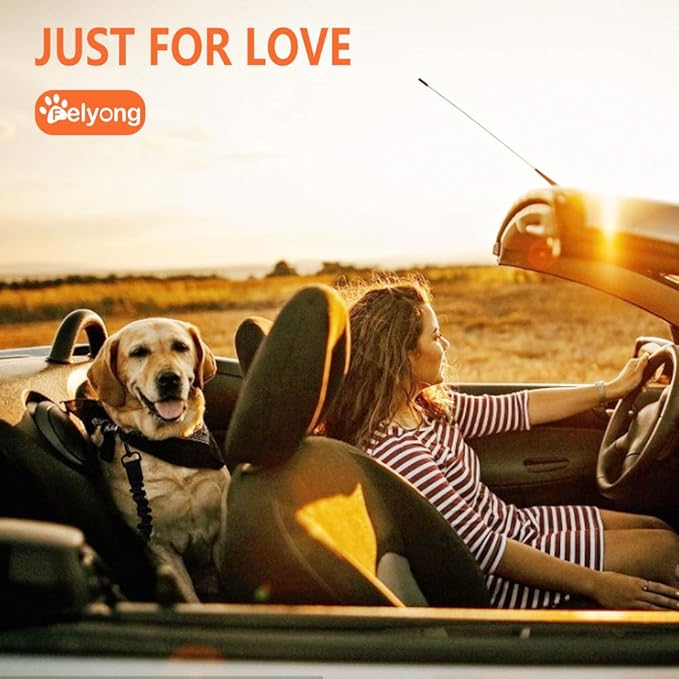 Dog Seatbelt (2+1Packs)