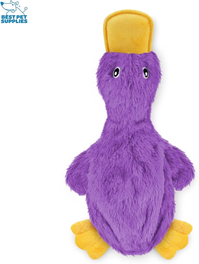 Best Pet Supplies Crinkle Dog Toy for Small