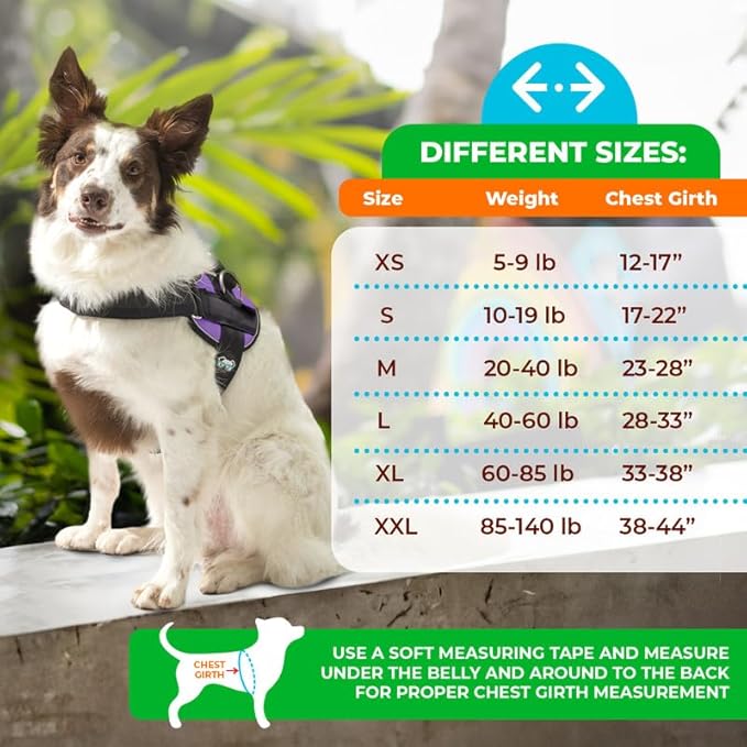 Joyride Harness 2.0 3 Leash