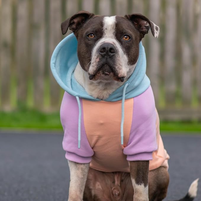 Spark Paws Dog Hoodie