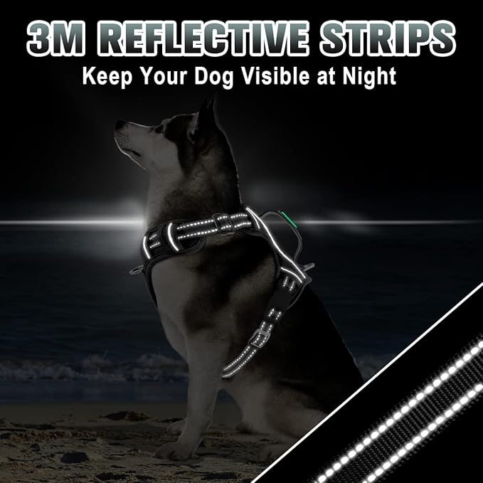 BARKBAY No Pull Dog Harness 3 Buckles Large Step in Reflective Dog Harness with Front Clip and Easy Control Handle for Walking Training Running with ID tag Pocket(Black