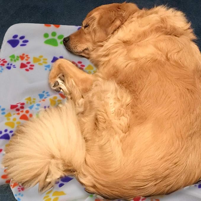Comsmart Warm Paw Print Blanket/Bed Cover for Dogs