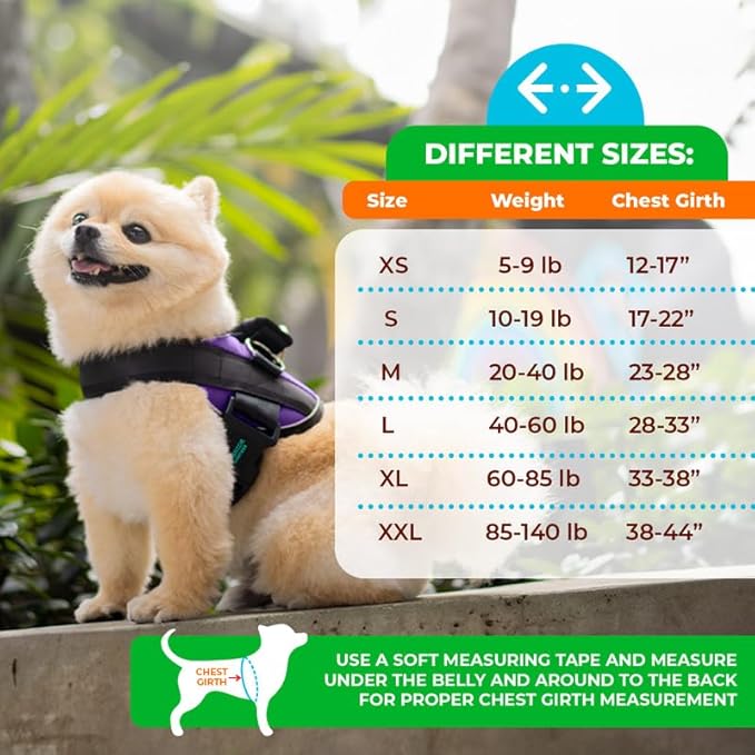 Joyride Harness 2.0 3 Leash