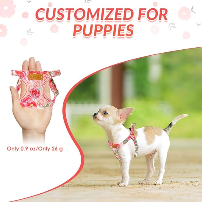 SlowTon No Pull Dog Harness with Leash