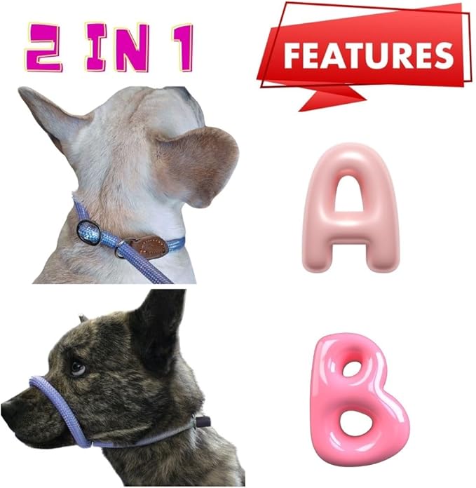 Slip Leads for Dogs (5 Foot 5/16")