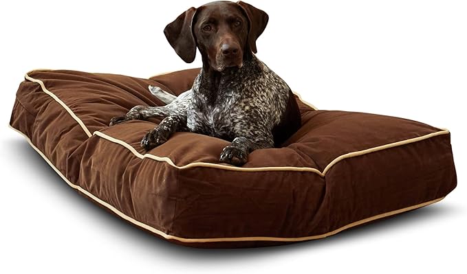 Buster Reversible Rectangle Pillow Style Dog Bed (42 x 30 in.)
