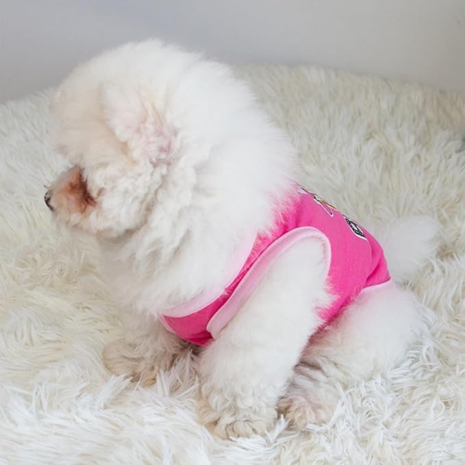 Dog Shirt 2 Pcs Summer Cotton Vests for Small Dog Cats Boy Girl (Miss Bossy, X-Small)