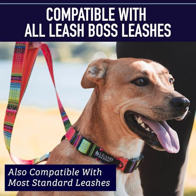 Leashboss Adjustable Reflective Dog Collar 13.5-19.5" Neck 1" Wide)